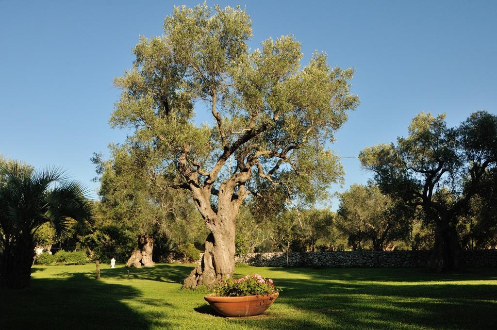 מלנדוניו Alba Bed & Breakfast מראה חיצוני תמונה